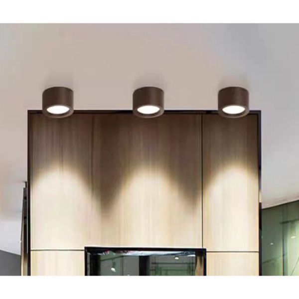 Downlight Aluminum Spot
